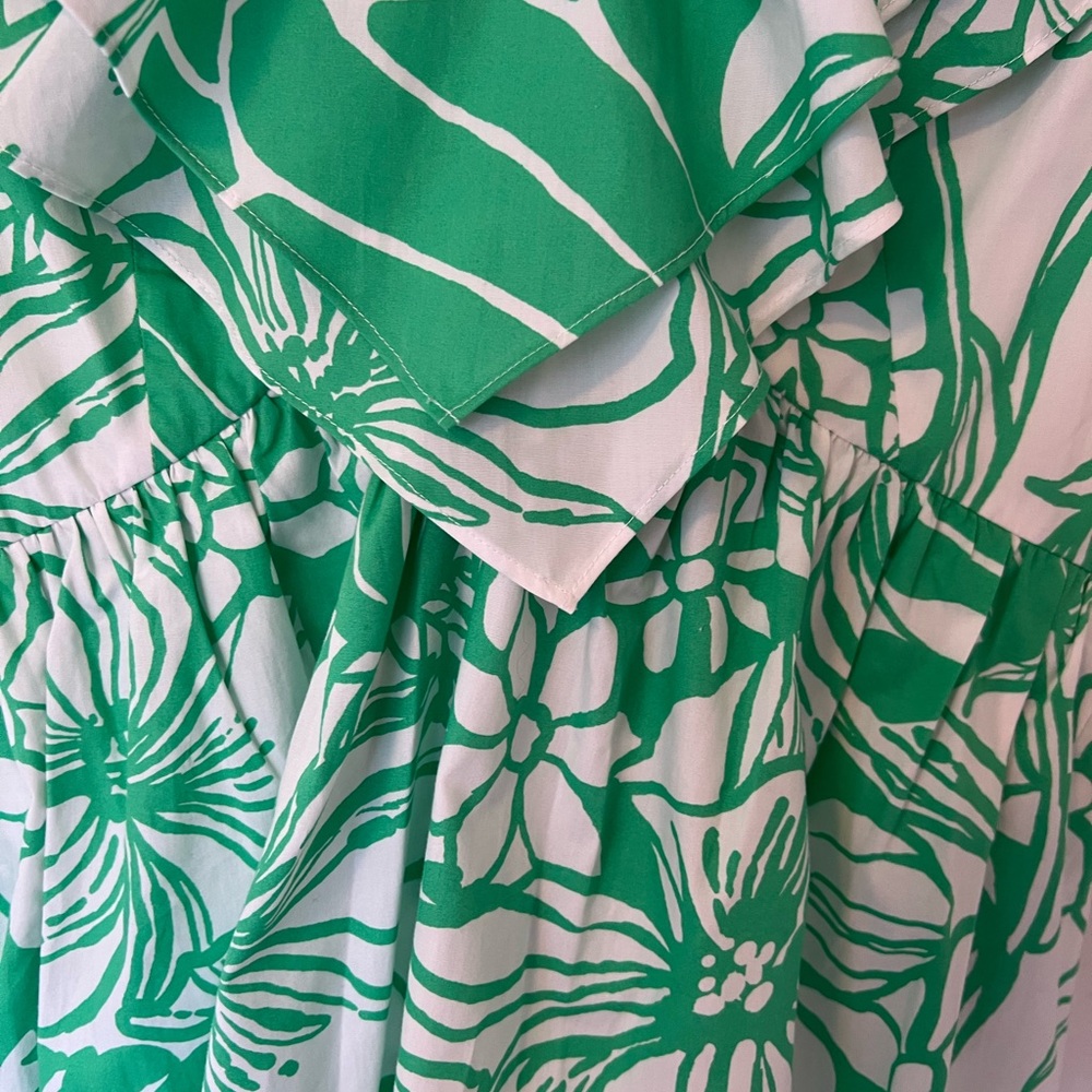Lilly Pulitzer Ruffle Dress - Picture 10 of 10